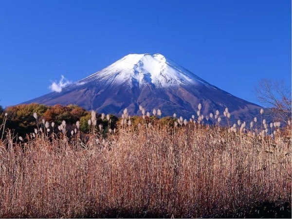 日本
