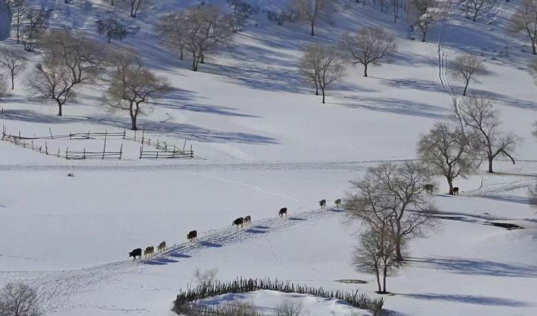 烏蘭布統雪原.jpg