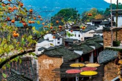 鄱陽(yáng)湖+石鐘山+葛仙山+三清山+篁嶺+廬山豪華雙動(dòng)6日游*至尊江西